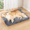 Orthopedic Large Dog Bed Furry Pet Bed, Washable Cover 36''X24'' by Unknown