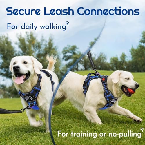 Eagloo Dog Harness No Pull for Large Dogs, Easy On & Off - Image 5