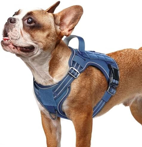 rabbitgoo Tactical Dog Harness for Small Dogs, No Pull Service Pet Vest by rabbitgoo