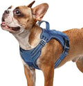 rabbitgoo Tactical Dog Harness for Small Dogs, No Pull Service Pet Vest by rabbitgoo