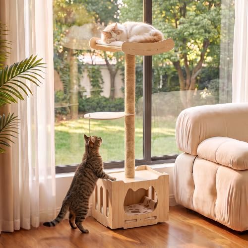 Cat Window Perch for Large Cats by NOMISPADVIC