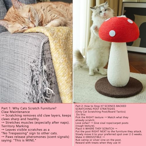 Whimsical Mushroom Scratcher, 19.69" Sisal Cat Scratching Post - Image 5