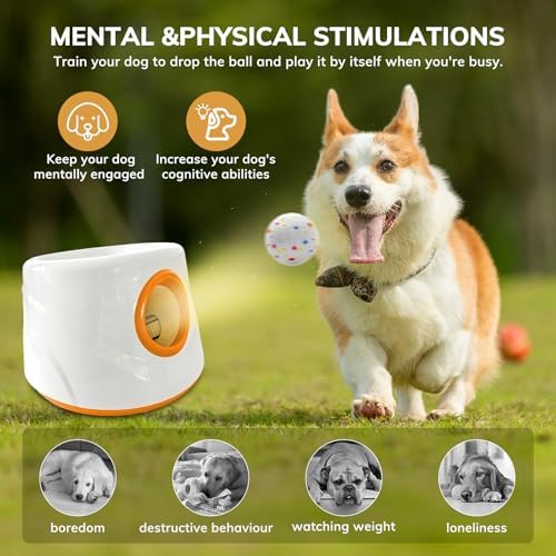Automatic Dog Ball Launcher for Small/Medium Dogs - Image 2