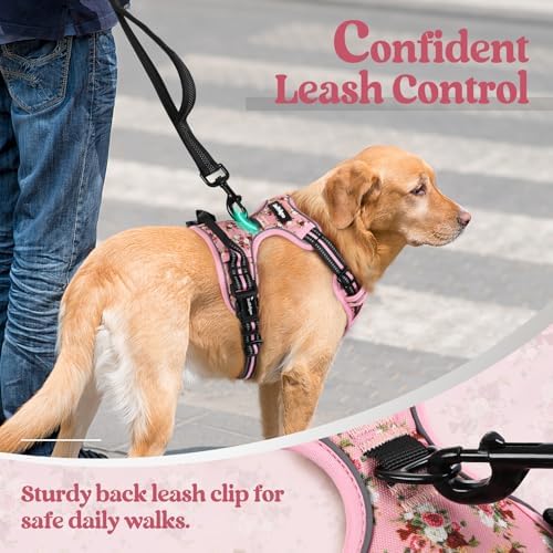 rabbitgoo Dog Harness, No Pull for Large Dogs - Image 6