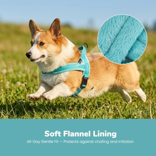 Didog No Pull Dog Harness for Medium Dogs, Soft Flannel Padded - Image 2
