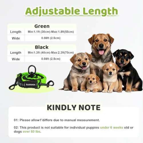 Double Dog Leash - Image 2