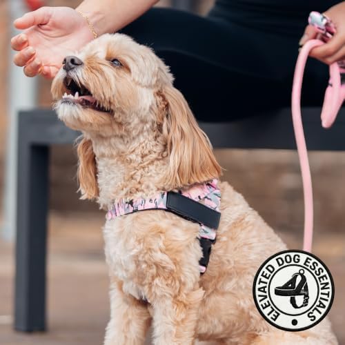 Dog Friendly Co. Dog Harness for Small Dogs - Image 6