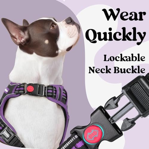 rabbitgoo Dog Harness Medium Sized, Updated Easy On & Off - Image 2