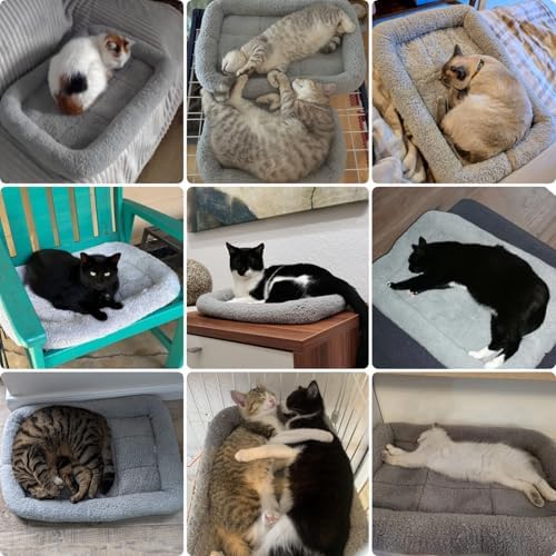 Small Cat Bed Mat, Indoor Pet Beds Furniture Carrier Crate Anti Skid Pad - Image 2