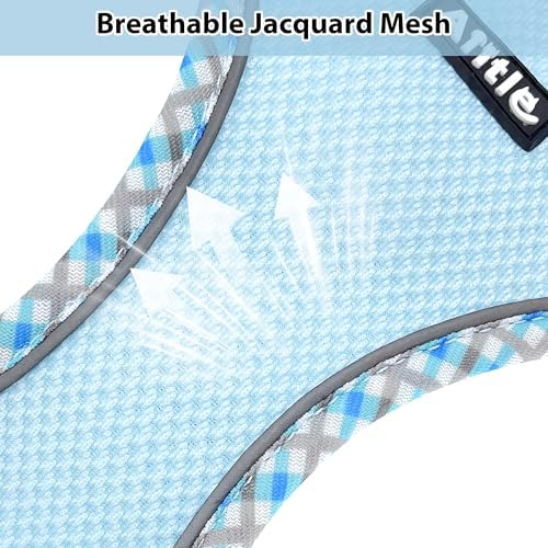 AIITLE Medium Dog Harness and Leash Set - Image 3