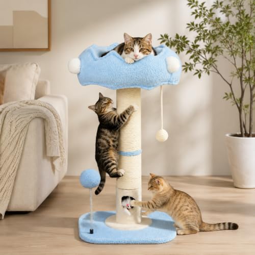 Tall Cat Scratching Post for Indoor Cats, Sisal Scratching Post by Yungaspy