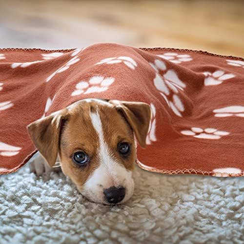 Tatuo 10 Pcs Puppy Blanket for Dog Cat, 24 x 28 Inch, Vibrant Color - Image 6