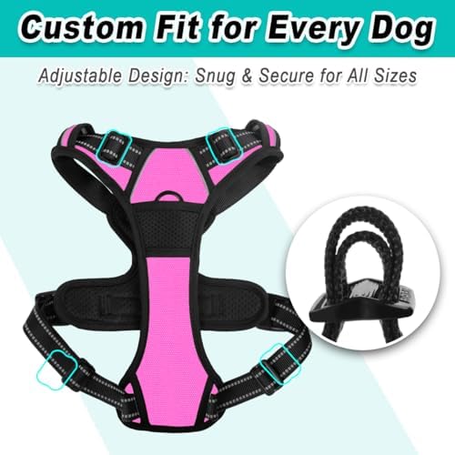 BARKBAY Dog Harness for Medium Sized Dog No Pull 2 Leash Clips Dog Vest - Image 6