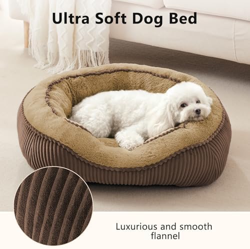 Washable Dog Bed Medium Size Dogs, Orthopedic Pet Bed - Image 3