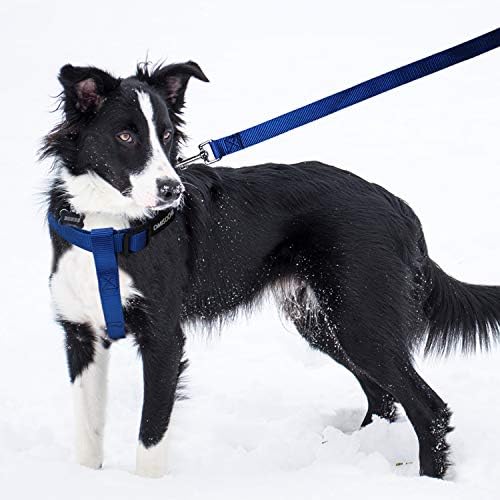 No Pull Dog Harness, Leash & Collar Set, Adjustable Step-in Vest - Image 5