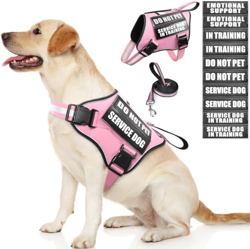 Service Dog Vest Harness and Leash Set+10 Patches, No Pull&Easy Walk Reflective by MOOGROUPETSFRIEND