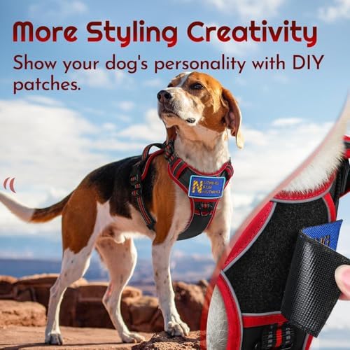 Eagloo Dog Harness No Pull for Medium Dogs, Easy On & Off - Image 3