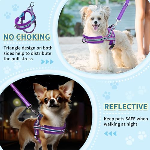 SlowTon No Pull Small Dog Harness and Leash Set - Image 3