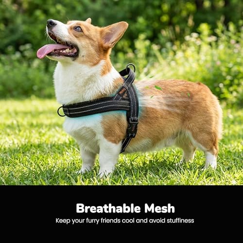 Didog No Pull Dog Harness for Medium Dogs, Breathable Mesh Padded - Image 2