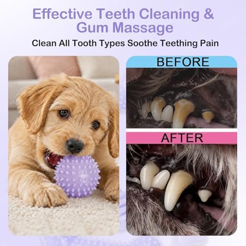 6 Pack Dog Chew Toys, Small Dog Teething Toys, Soft Durable Interactive Toys - Image 5