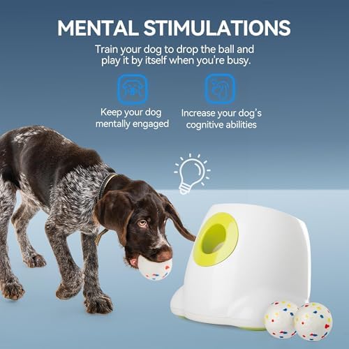AFP Automatic Dog Ball Launcher - Image 3