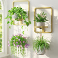 LASZOLA Plant Picture Frame Holder Wall Mount by LASZOLA