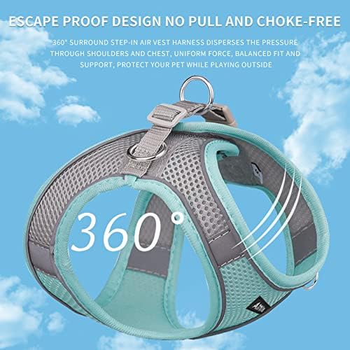 AIITLE Dog Harness and Leash Set, Step-in Puppy Pet Vest, Turquoise L - Image 6