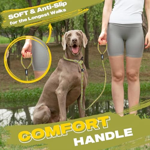 Fida Durable Slip Lead Dog Leash, 6 FT x 3/8" Dog Training Leash - Image 6
