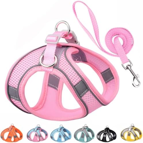 XS Dog Harness and Leash Set, Puppy Harness Girl Cats Vest by YOUALSO