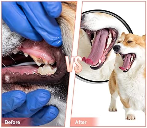 Natural Rubber Slipper Dog Chew Toy, Durable Teeth Cleaning Toy - Image 4