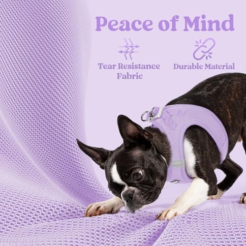 rabbitgoo Step-in Small Dog Harness, Puppy Vest - Image 4
