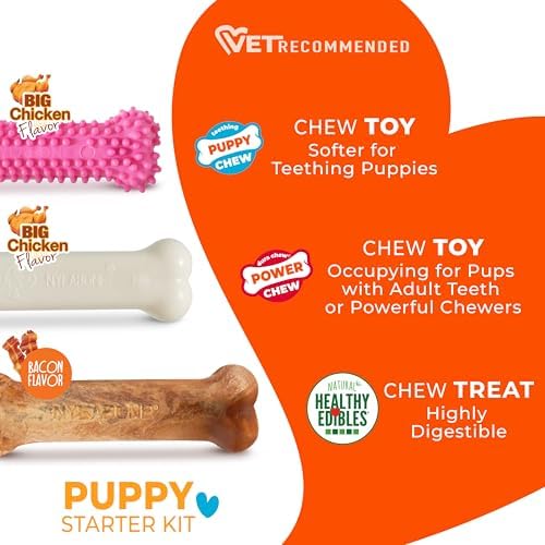 Nylabone New Puppy Starter Kit, Puppy Teething Toys, 3 Pack - Image 5