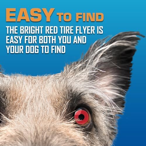 Nerf Dog Atomic Flyer Outdoor Dog Toy, 10 Inch Flying Disc Dog Fetch Toy - Image 6