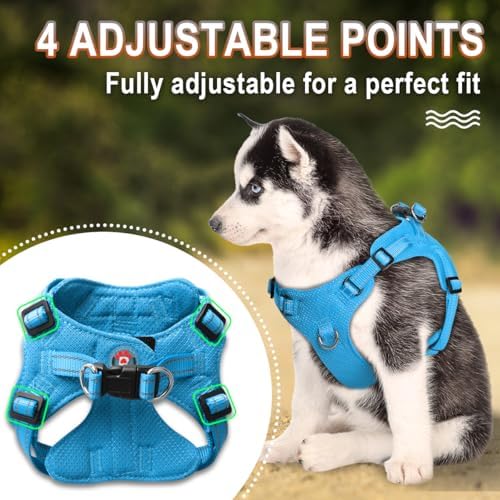 BARKBAY Small Dog Harness, No Pull Puppy Harness, Step-in Dog Vest - Image 3