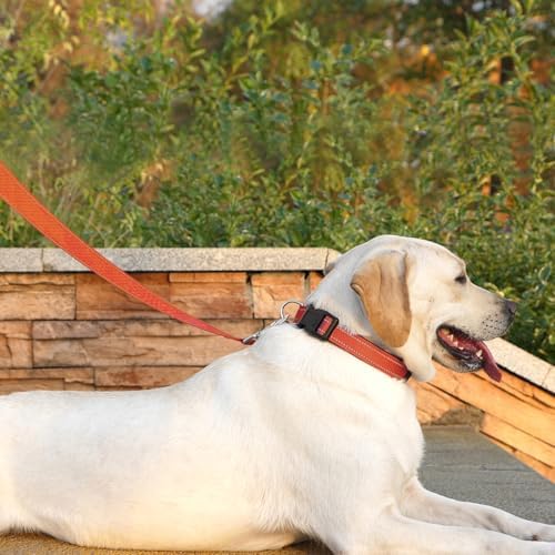 6 FT Basic Dog Leash for Medium Dogs - Image 2
