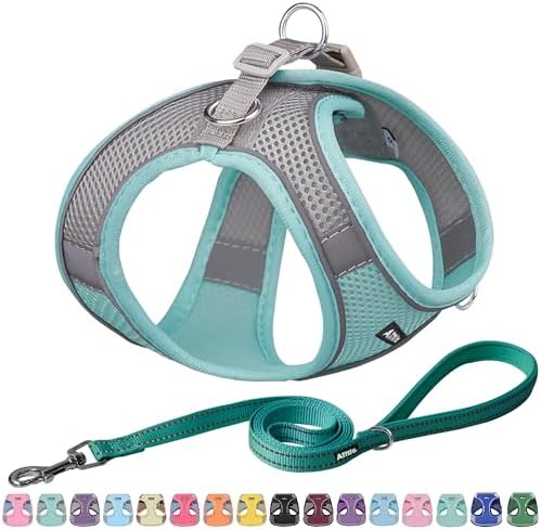 AIITLE Dog Harness and Leash Set, Step-in Puppy Pet Vest, Turquoise XL by AIITLE-FORPETSBETTERLIFE