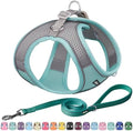 AIITLE Dog Harness and Leash Set, Step-in Puppy Pet Vest, Turquoise L by AIITLE-FORPETSBETTERLIFE