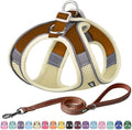 AIITLE Medium Dog Harness and Leash Set, Step-in Puppy Pet Vest by AIITLE-FORPETSBETTERLIFE