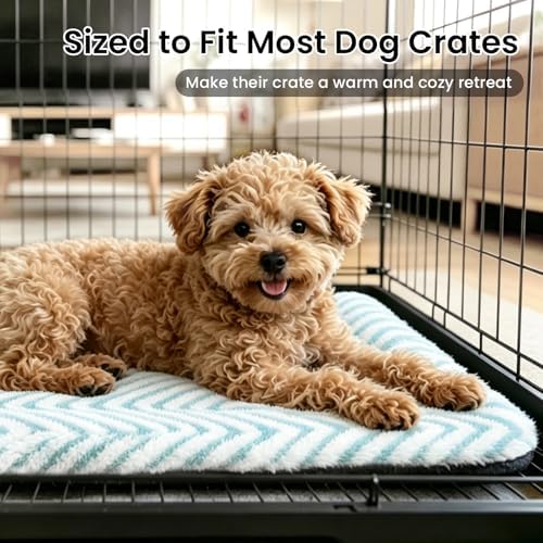 Mora Pets Cat Beds for Indoor Cats Washable Cat Mat Bed Flat Dog Crate Pad - Image 3
