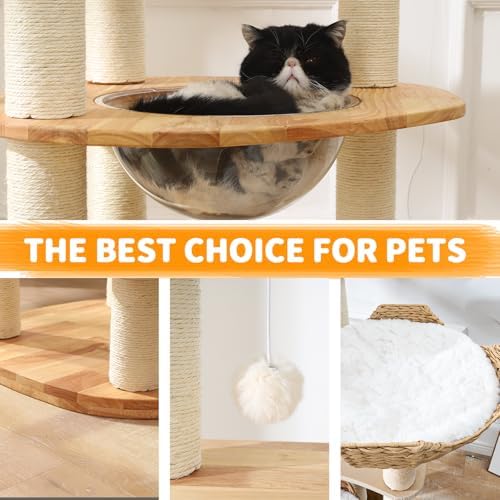 SHODMI Modern Cat Tree for Large Indoor Cats 61 in Rubber Wood Cat Tower - Image 4