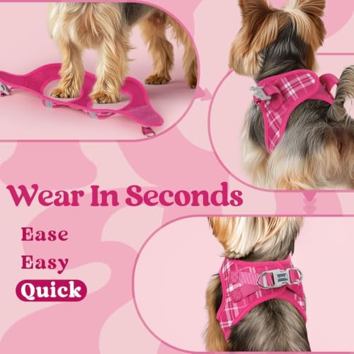 rabbitgoo Step-in Small Dog Harness, Puppy Vest - Image 5
