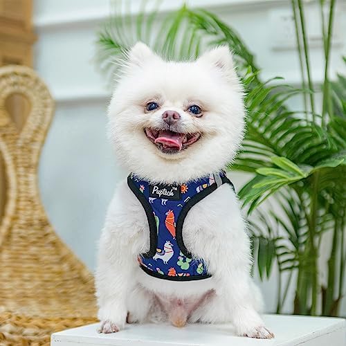PUPTECK Dog Harness, Collar and Leash Set No Pull - Image 5
