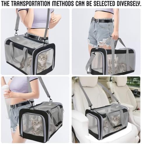 Pet Carrier for Large Cats of 20 Lbs, Collapsible Carrier Bag for Big Cat or 2 - Image 6