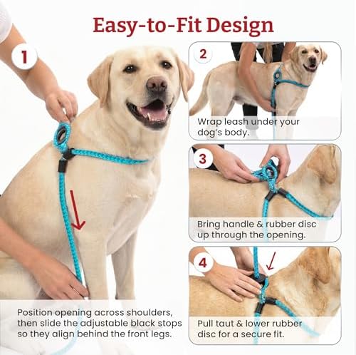 Harness Lead No Pull Dog Harness and Leash Set, Anti Pull Dog Harness, - Image 5