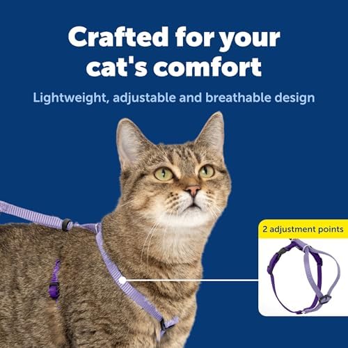 PetSafe Come With Me Kitty Harness and Bungee Leash, Harness - Image 5