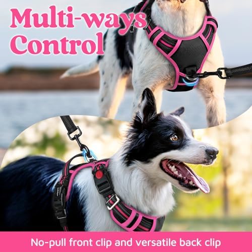rabbitgoo Dog Harness for Large, No Pull 3 Buckles Easy On & Off - Image 3