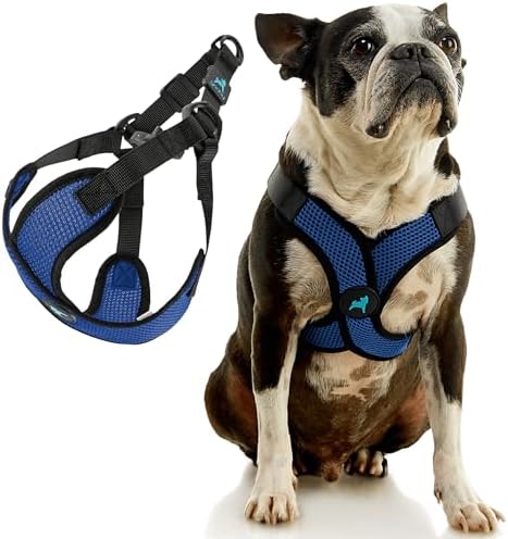 Gooby Comfort X Step-in Lite Harness, Choke-Free - Image 3