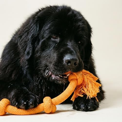 Playology Tug Rope Dog Toys for Large Breed Dogs - Image 3