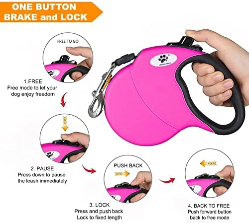 Retractable Dog Leash, Small Dog - Image 5