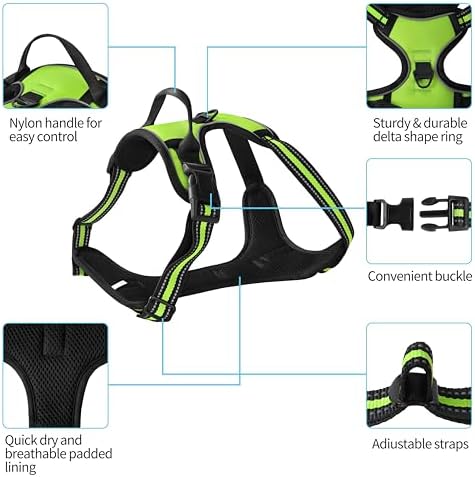 Green No-Pull Dog Harness with 2 Leash Clips，Soft Padded Vest - Image 2